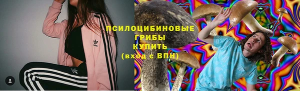 герыч Новозыбков