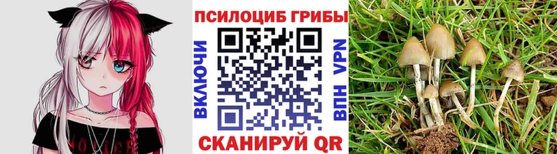 как найти закладки  Таганрог  кракен сайт  Галлюциногенные грибы прущие грибы 