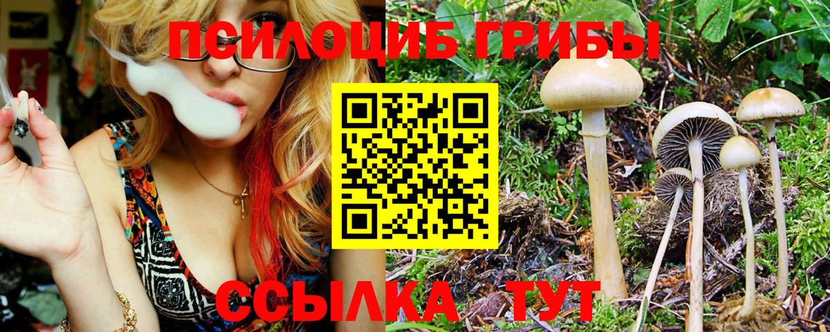 Галлюциногенные грибы Таганрог