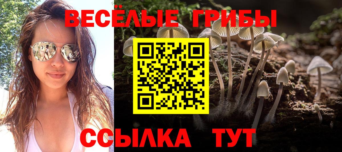 Галлюциногенные грибы мухоморы Таганрог