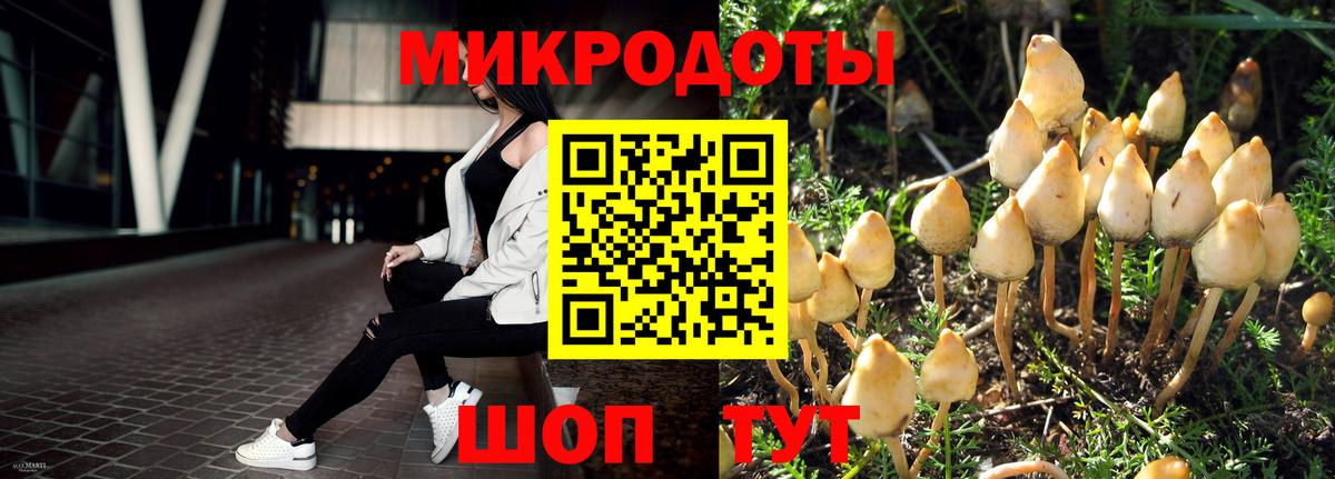 Псилоцибиновые грибы MAGIC MUSHROOMS  Вход с VPN  Таганрог  Галлюциногенные грибы мухоморы 